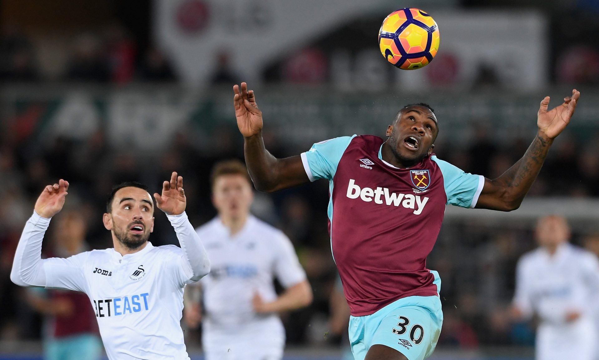 展提供助力 展提供助力